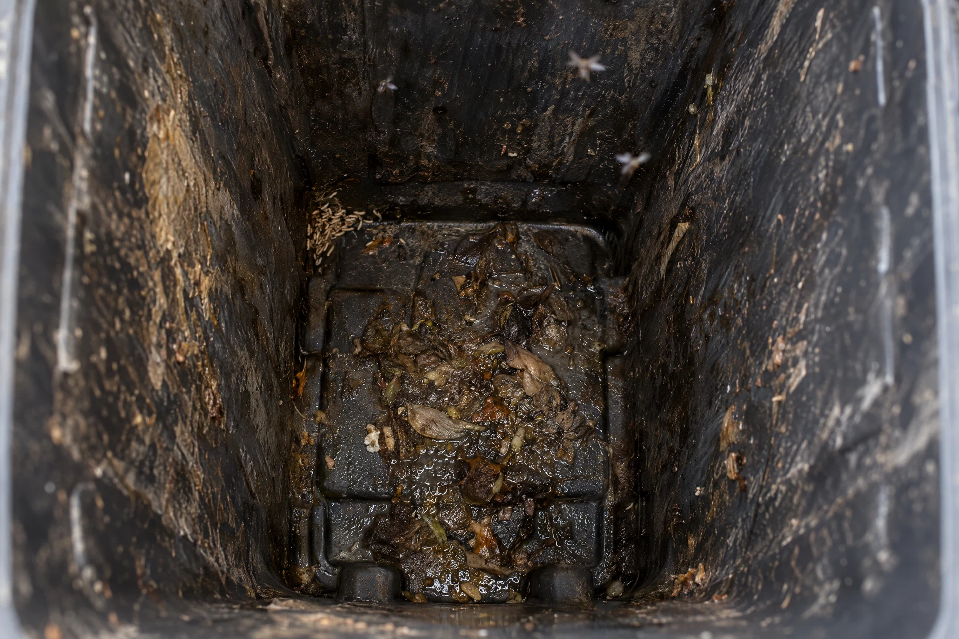 A trash bin before deep cleaning